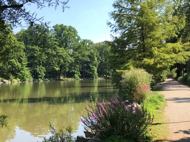 Spaziergang am Röhrensee in Bayreuth