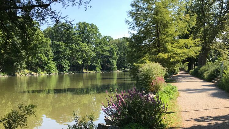 Spaziergang am Röhrensee in Bayreuth