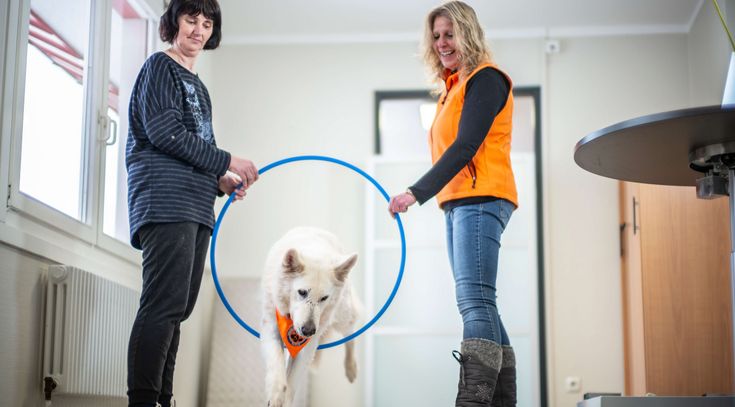 Patientin trainiert mit Hund in der tiergestützen Therapie