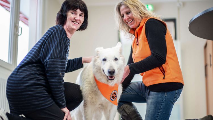 Patientin und Therapeutin herzen den weißen Therapiehund